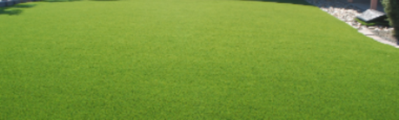 ▷ What Goes Under Artificial Turf Escondido?