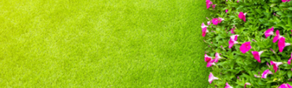 ▷Ways To Integrate Flowers With The Best Artificial Grass Escondido