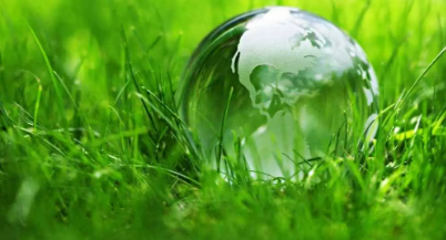 Some Environmental Benefits Of Artificial Grass In Escondido