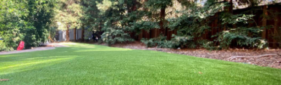 ▷7 Reasons To Choose Artificial Grass For Winter Escondido