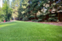 7 Reasons To Choose Artificial Grass For Winter Escondido