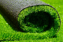 5 Fascinating Facts About Synthetic Grass You Probably Didn't Know Escondido
